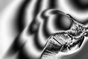 %_tempFileNameE%20s049%